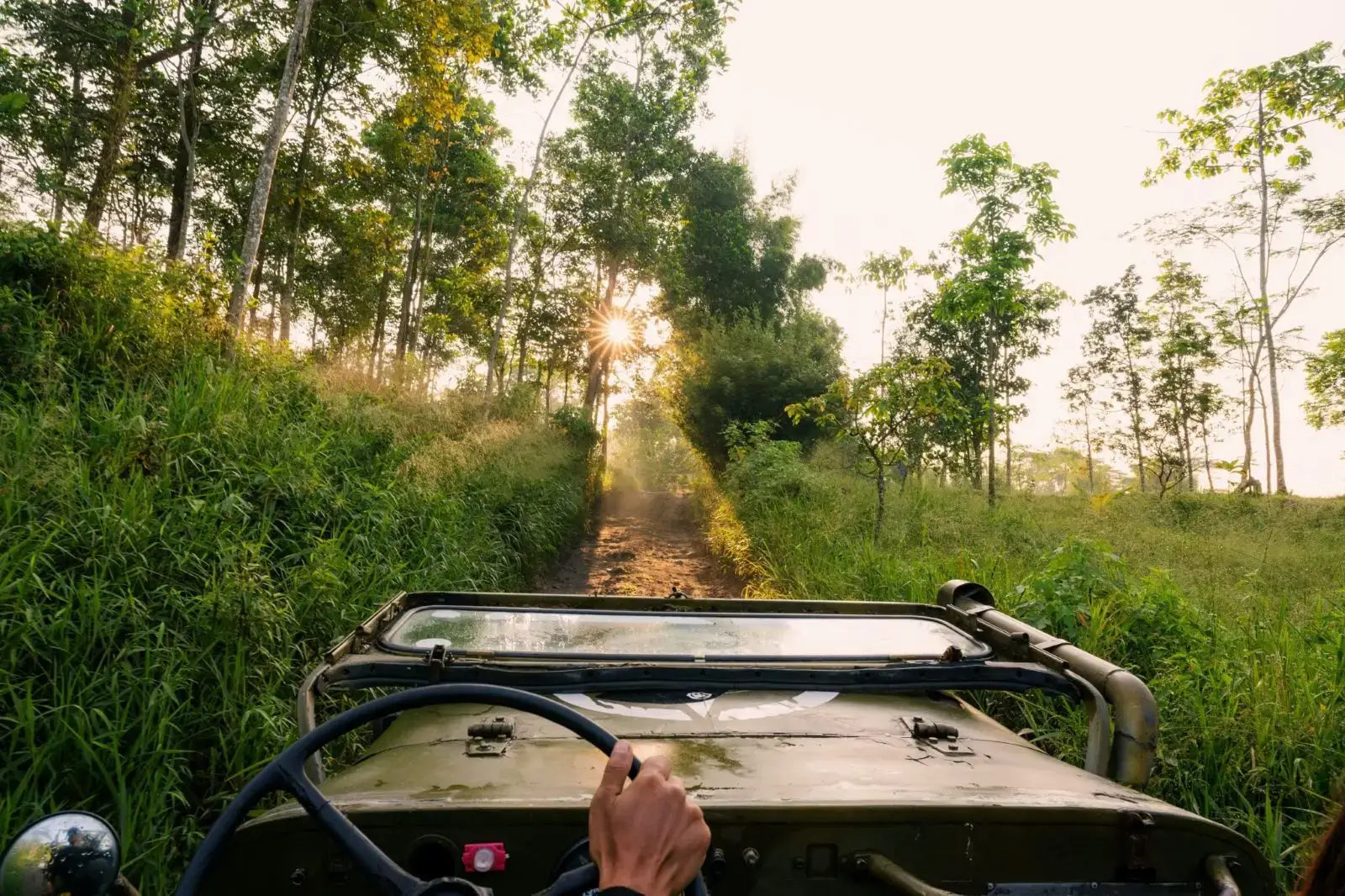 Driver's view along a sunlit forest trail
